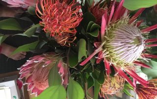 red flowers in a bunch of flowers - australian natives