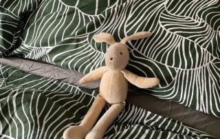 winnicott transitional object - sylvain the rabbit