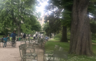 trees, tables and chairs at the luxembourg gardens Paris 2024