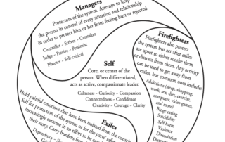 IFS diagram of different parts